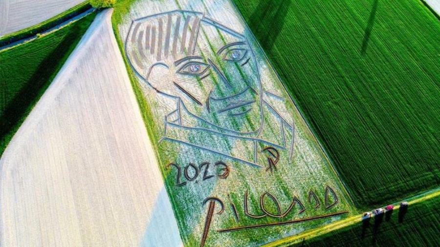 خلق بزرگ‌ترین پرتره «پیکاسو»‌ با تراکتور!